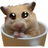 Hamsters ❤️ 8