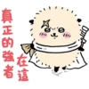Chiikawa I(ZH) 25