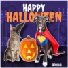 Disfraz 🎃🐾 HALLOWEEN 23