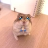 Hamsters ❤️ 9