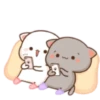 gatitos 20