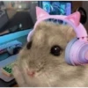Hamster Random 🐹 21