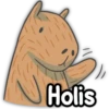 CAPIBARA Frases 18
