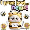 I have bad... news! alexa