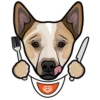 Sampson 5
