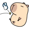 Pipi Capybara 3 21