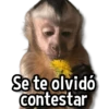 Changuitos Stickers🐒🍌 14