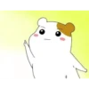 Hamster 24