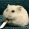 Hamster Random 🐹 24