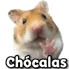 Chocalas