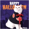 Disfraz 🎃🐾 HALLOWEEN 27
