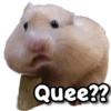 Quee??