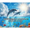 DELFINES UNICORNIO TREND 12