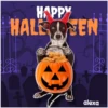 Disfraz 🎃🐾 HALLOWEEN 29