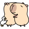 Pipi Capybara 3 24