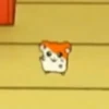 Hamster 28