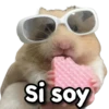 Si soy