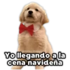 Perritos Navideños 15