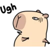 Pipi Capybara 3 25