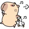 Pipi Capybara 3 26