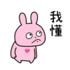 Love Rabbit Vol.1 26