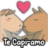 CAPIBARA Frases 19