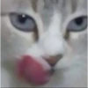Perverted Faces 21