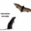 Deus e rivotril 27