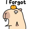 Pipi Capybara 3 27