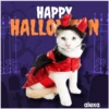Disfraz 🎃🐾 HALLOWEEN 30