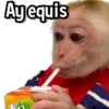 Changuitos Stickers🐒🍌 16
