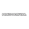 PEDAZO DE MI VIDA.