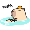 Pipi Capybara 3 29