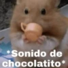 Hamster Random 🐹 28