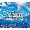 DELFINES UNICORNIO TREND 15
