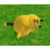 Hamster 30