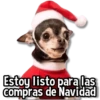 Estoy listo para las compras de Navidad