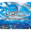 DELFINES UNICORNIO TREND 16