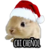 Memes Navideños 🎅🤶🎄2 29