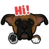 Sami 5