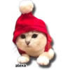 Michi 🎁🎄 Navidad 5