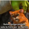 Sherk fuera de contexto 5