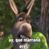 Sherk fuera de contexto 6