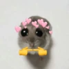 🐹 hamster triste🐹😟 5