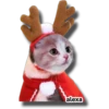 Michi 🎁🎄 Navidad 7