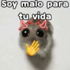 🐹 hamster triste🐹😟 6