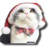 Michi 🎁🎄 Navidad 9