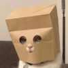Imagens para o seu amor 6