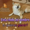 Memes para ligar 4 🔥🥵 5