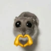 🐹 hamster triste🐹😟 7